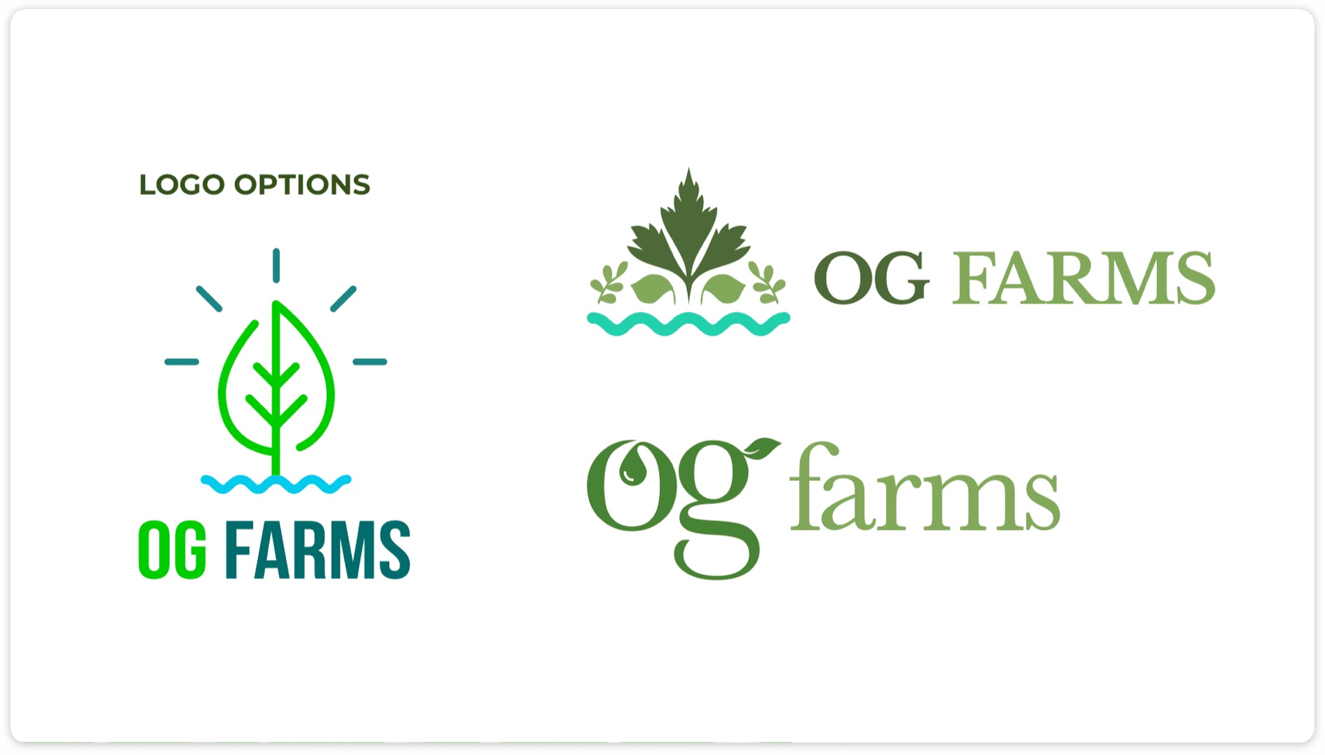 OG Farms branding design